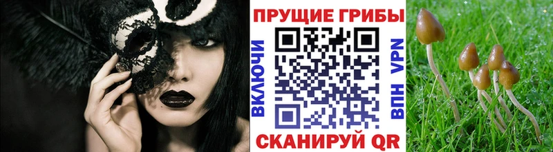 hydra   где купить наркотик  Белогорск  Псилоцибиновые грибы мухоморы 