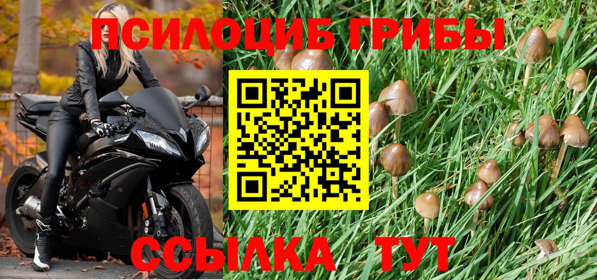 Галлюциногенные грибы Cubensis Белогорск