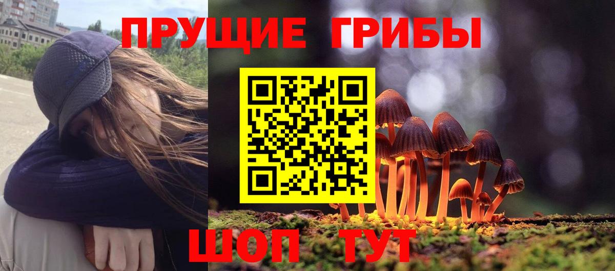Галлюциногенные грибы Psilocybe  Вход с VPN  Белогорск 